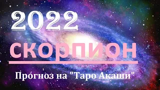 Скорпион 2022 год. Взгляд в будущее🔮Таро прогноз от✨𝒯𝒶𝓉𝓎𝒶𝓃𝒶𝒯𝒶𝓇𝑜 на Таро Акаши