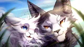 Top 15 Warrior Cat Couples That Shouldn't Have Happened