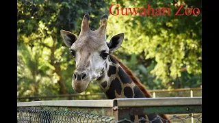 Guwahati Zoo 2022 | Assam State Zoo cum Botanical Garden | Places to Visit in Guwahati