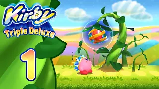 Kirby Triple Deluxe Re ITA [Parte 1 - Foreste Fiorite]