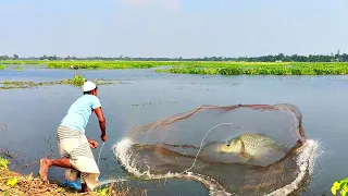 Cast net fishing - Traditional cast net fishing in village with beautiful natural (Part-314)