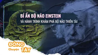 Vài giờ sau khi qua đời, bộ não Einstein bị tách khỏi thi thể một cách đầy bí ẩn | VTC Now