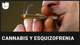 Estrecha relación entre el consumo de cannabis y la esquizofrenia según estudio