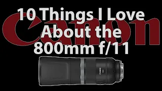 10 Things I Love about the Canon 800 f/11 Lens