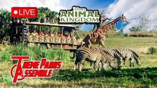 #LIVE Afternoon @ Animal Kingdom WDW Resort - 41724