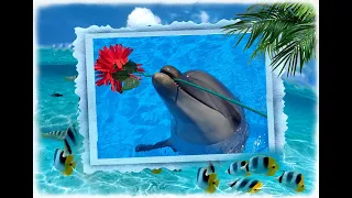 Банд одесса# Все дельфины  в ураган # Вера и Геннадий Ковтун...