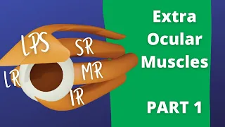 Eye Movements (Part 1) | Air Anatomy