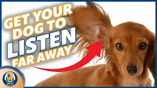 Teach Your Dog To Listen Off Leash And Far Away #147 #podcast