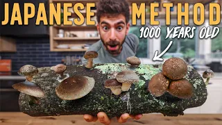 How I'm Growing my own Shiitake Mushrooms