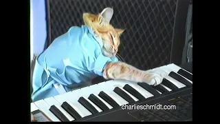 New Keyboard Cat Footage (Remastered in HD)