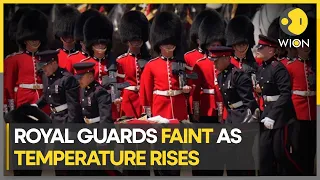 Several British royal guards faint due to heat during ceremony with Prince William | WION