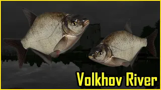 Bream Leszcz Volkhov Rzeka Wołchow | Russian Fishing 4 RF4 SPOT 51