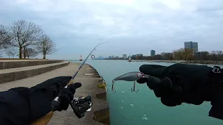 The Windy City Fishing Experience - Midwest Road Trip