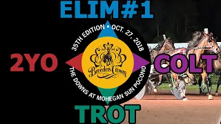 2018 Breeders Crown Elim#1 - Smart As Hill - 2YO Colt Trot