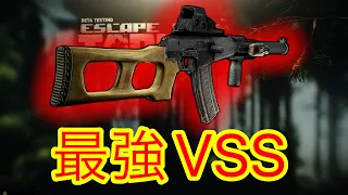 【タルコフ】究極銀河級最強ライフルVSSのアクロニムを紐解くずんだもん実況/VSS ＆ SP-6