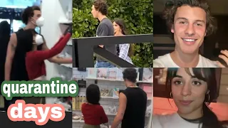 Shawn mendes and camila cabello quarantine days ~new 💜and instagram story  #shawmila