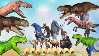 Dinosaur Eggs Comedy video || Cartoon Gorilla Wolf Godzilla egg  stealing video compilation