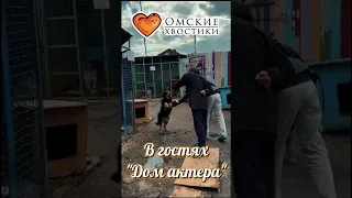 В гостях "Дом актера".