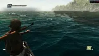 Assassin's Creed IV: Black Flag.Охота. Акула-бык