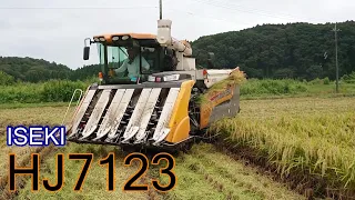 【イセキ農機】イセキコンバインJAPAN/HJ7123による稲刈りパフォーマンス!!!!!!!