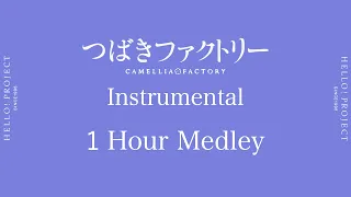 つばきファクトリー楽曲 インストゥルメンタル６０分間メドレー