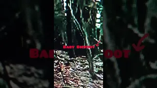 Bigfoot family caught on camera