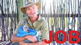Be A Wildlife Carer | Get My Job