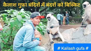 कैलाश गुफा मंदिरों में बंदरों को बिस्किट  Ke Shath Full injoy Bramha bhai🌹🌹💖💝💝👌👌# Kailash #.