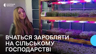 «Бізнес-інкубатор»: на Черкащині ліцеїсти вирощують та продають мікрозелень