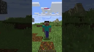 5 Things We All Did In Minecraft