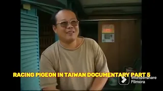 RACING PIGEON IN TAIWAN DOCUMENTARY PART 5 (LAST PART)