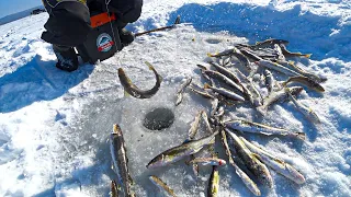 Рыбалка 2022, в Приморском крае. Песчаный, Южная сторона  (Береговое). Ловля наваги