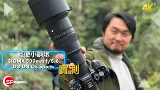 輕便小鋼炮 鳥攝中入門之選 ｜ Sigma 500mm f/5.6 DG DN OS Sports 實測