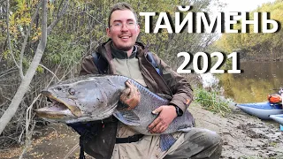 Трофейный ТАЙМЕНЬ, на рыбалку в Хабаровский край, река Уда.