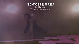 TG-TONEWORKS - Is this love (Whitesnake instrumental cover)