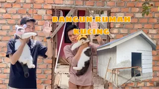 Bangun rumah untuk 6 kucing #catroom #kucingyoutube #kucinglucu