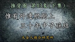 推背圖第43象(下集) 「惟有外邊根樹上，三十年中子孫結」本集來揭露此兩句難解之密，根樹上的「結」該如何解?! 時間點又是哪一年? #推背圖中共 #推背圖台灣