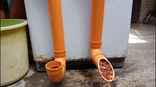 Customized Dog Feeder