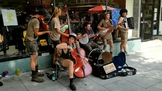 Holy Locust AMAZES THE CROWD w/ Squirrel Nut Zippers COVER of "Hell" & "Ghost Of Stephen Foster"