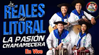 ✅*LOS REALES DEL LITORAL* 🎼 "ACTUACION EN VIVO" 🎼EXCLUSIVO CHAMAME 2024✅