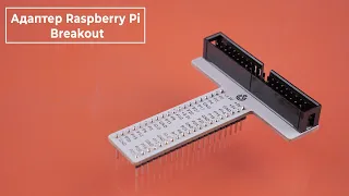 Raspberry Pi Breakout — удобный адаптер для подключения малинки к макетной плате. Железки Амперки