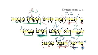 Deuteronomy 22:8