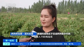 [第一时间]新疆和田：沙漠玫瑰艳 开出“花”产业| 财经风云