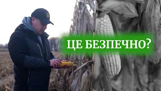 ОСОБЛИВОСТІ ЗБИРАННЯ КУКУРУДЗИ НА РІЗДВО З РОМОЮ ☃️