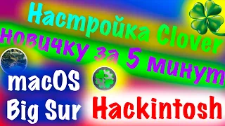 НАСТРОЙКА CLOVER НОВИЧКУ ЗА 5 МИНУТ ДЛЯ УСТАНОВКИ MACOS BIG SUR!!! HACKINTOSH