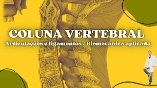 Coluna Vertebral - Articulações e Ligamentos / BIOMECÂNICA APLICADA | Prof. Felipe Barros