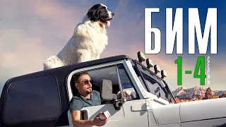 БИМ 1-4 серия (Пёс в законе) сериал на НТВ - обзор
