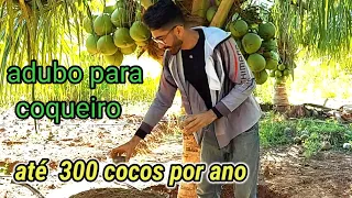 Como adubar coqueiro para produzir? Veja este video!