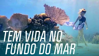 Karina Oliani posa debaixo d'água para exaltar vida marinha em Belize | Oceano Selvagem | Canal OFF