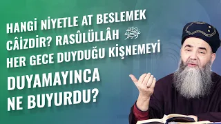 Hangi Niyetle At Beslemek Câizdir? Rasûlüllâh ﷺ, Her Gece Duyduğu Kişnemeyi Duyamayınca Ne Buyurdu?